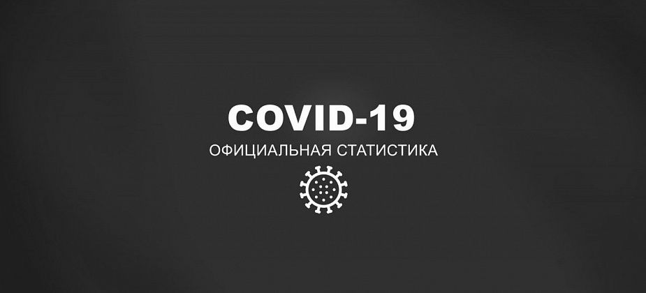 COVID. Заболеваемость в регионе продолжает падать