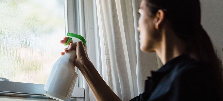 Как помыть окна, чтобы на них не осталось разводов: 4 совета для любителей чистоты