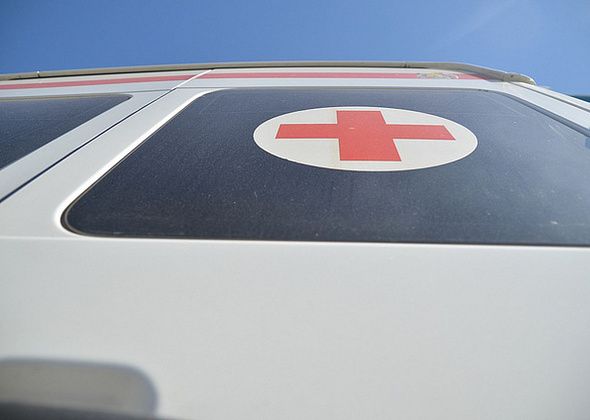 У 26 курсантов Ульяновского суворовского училища выявили эхинококкоз