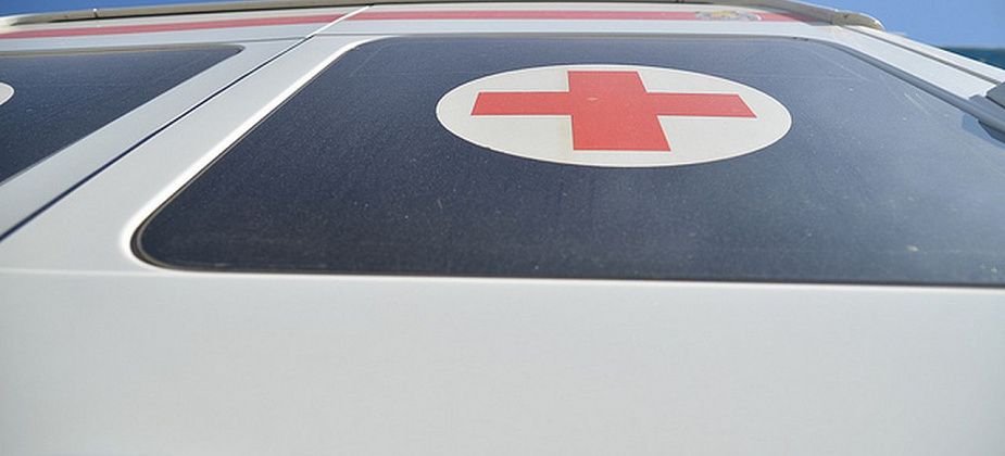 У 26 курсантов Ульяновского суворовского училища выявили эхинококкоз