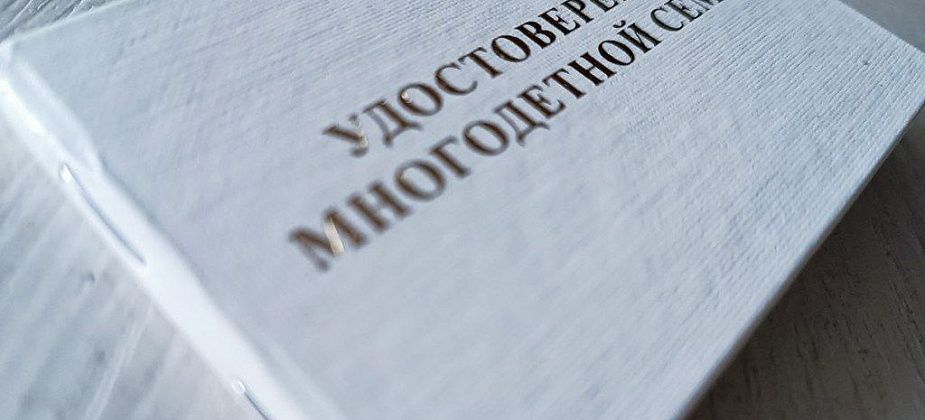 Условия предоставления мер поддержки многодетным могут изменить
