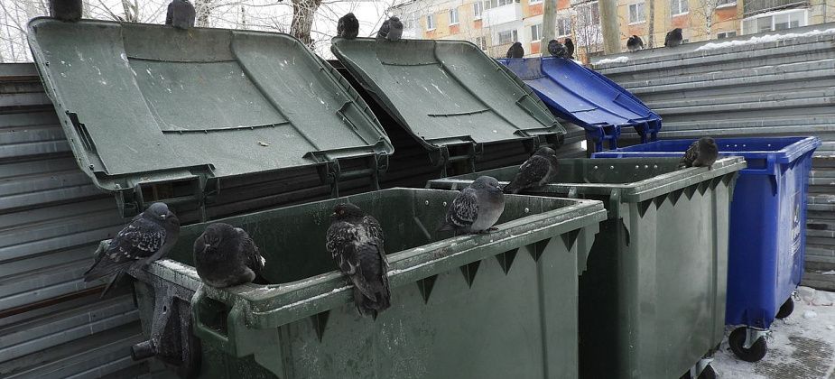 Мусор предлагают сортировать на пищевой и непищевой