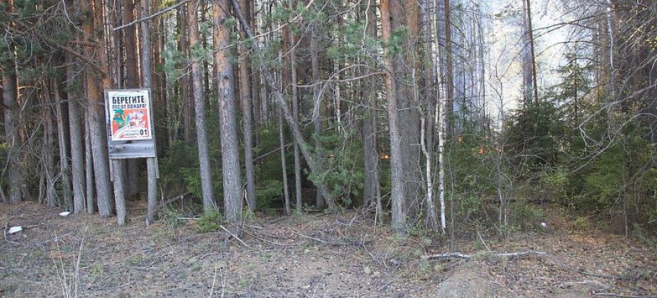 Губернатор запретил уральцам ходить в лес. До 10 июня