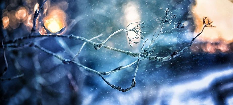 В пятницу ожидается последний теплый день этой осени