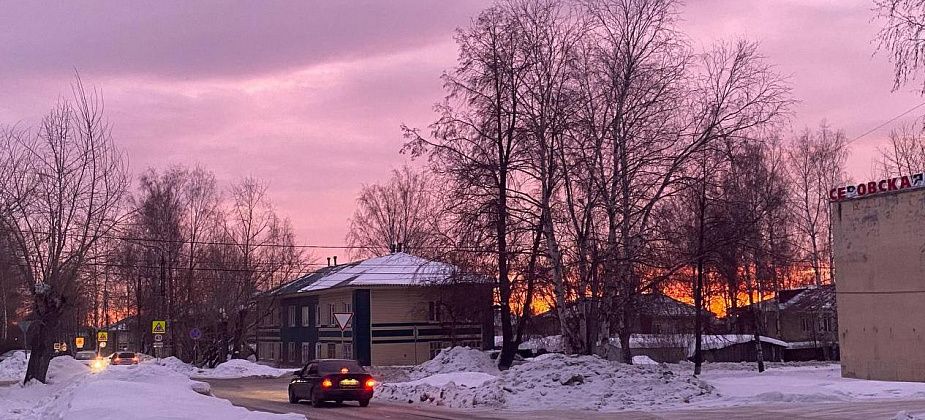 Синоптики прогнозируют мягкую погоду до конца января