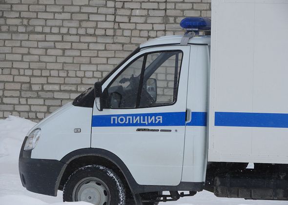 Полиция наказала безответственного родителя