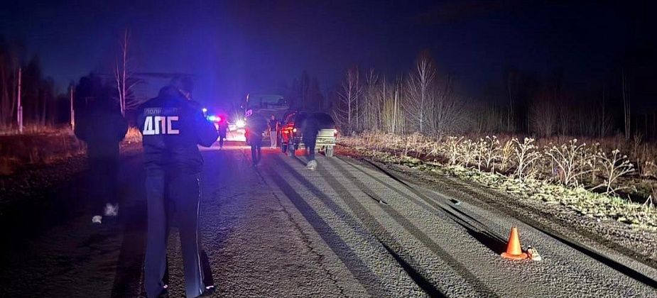 В Волчанске насмерть сбили пешехода. Водитель скрылся, но вскоре его поймали
