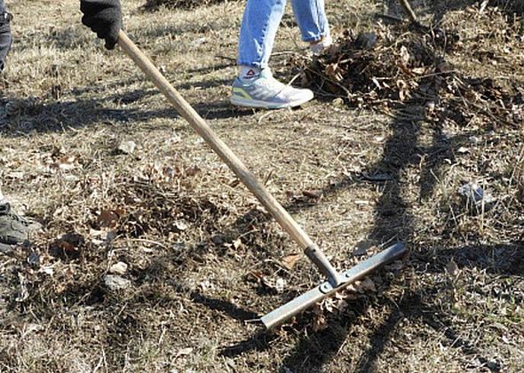 Молодых волчанцев зовут записываться в трудовой отряд