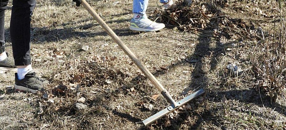 Молодых волчанцев зовут записываться в трудовой отряд