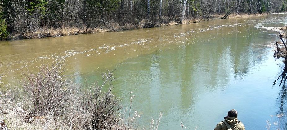 В УГМК прокомментировали "грязные воды" Шегультана. А общественники взяли пробы воды