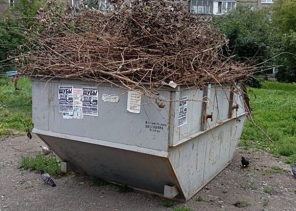 Регоператор «Рифей» просит горожан не складировать ветки на контейнерных площадках