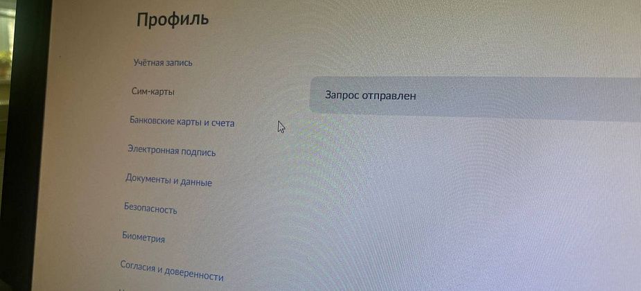 Вы можете проверить количество оформленных на себя sim-карт