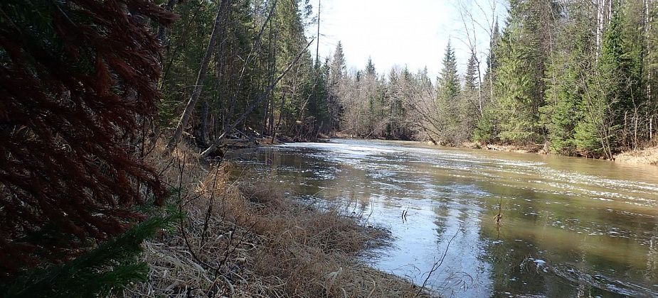 Стали известны результаты исследования проб воды из Шегультана: "качество воды не соответствует нормативным требованиям"