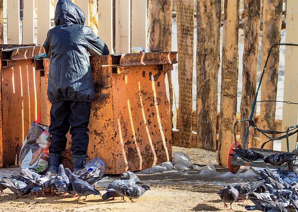 Вывозить мусор по-новому и за большую плату начнут с 1 января