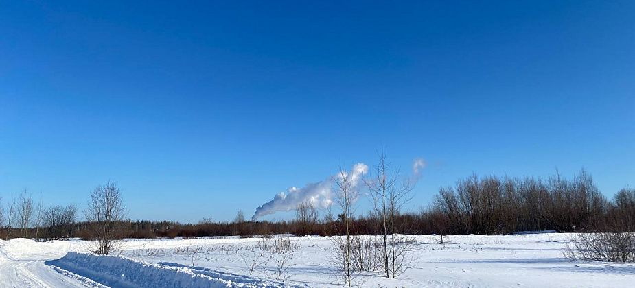 Синоптики прогнозируют потепление после морозных выходных