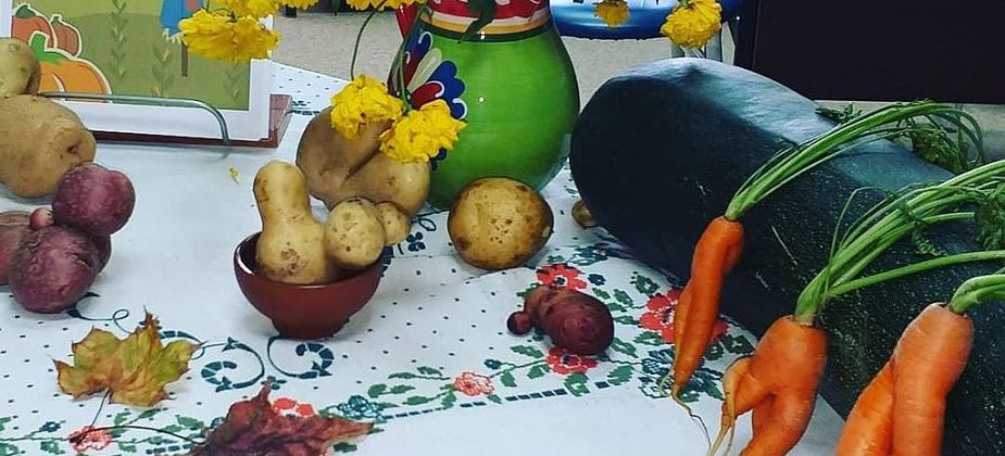 Работники волчанской библиотеки приглашают на выставку необычного урожая