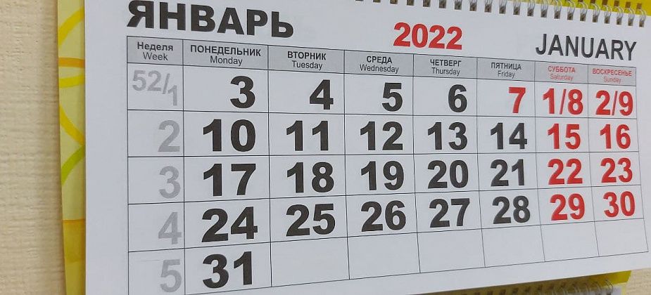 Глава ЛДПР Жириновский предложил включить 15 дней новогодних каникул в отпуска граждан