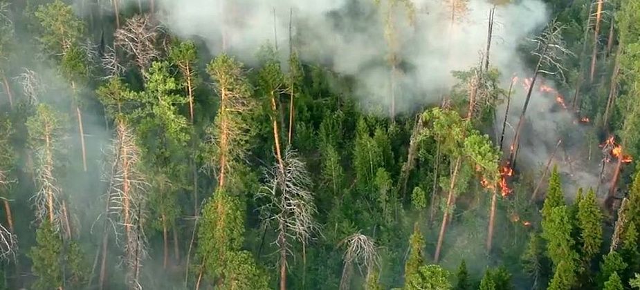 СК возбудил первое уголовное дело по пожарам в Сибири