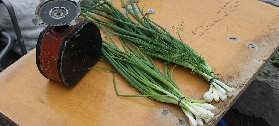 В Волчанске утвердили даты городских ярмарок в 2024 году