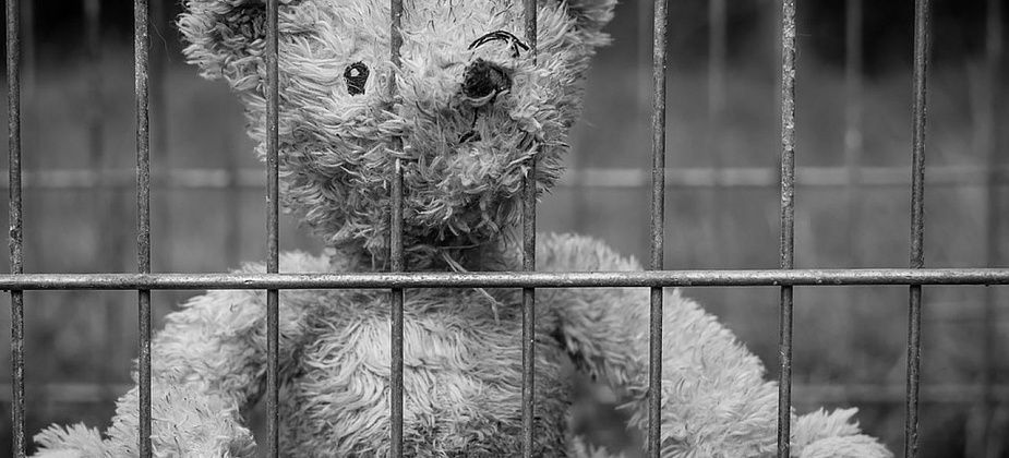 ЛДПР предлагает понизить возраст уголовной ответственности до 12 лет