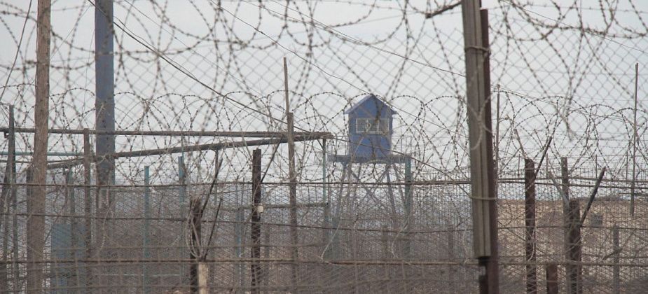 Госдума в первом чтении приняла законопроект о немедленном освобождении заключенных с тяжелыми заболеваниями