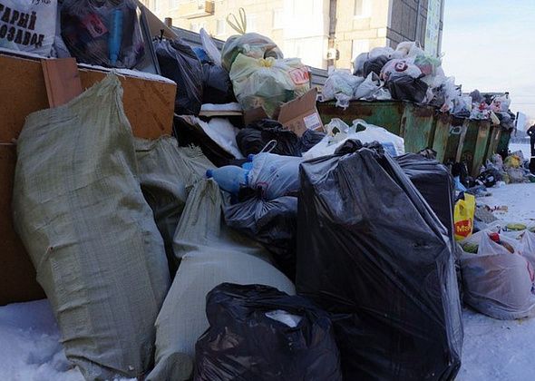 Путин подписал указ о создании единого мусорного оператора в России