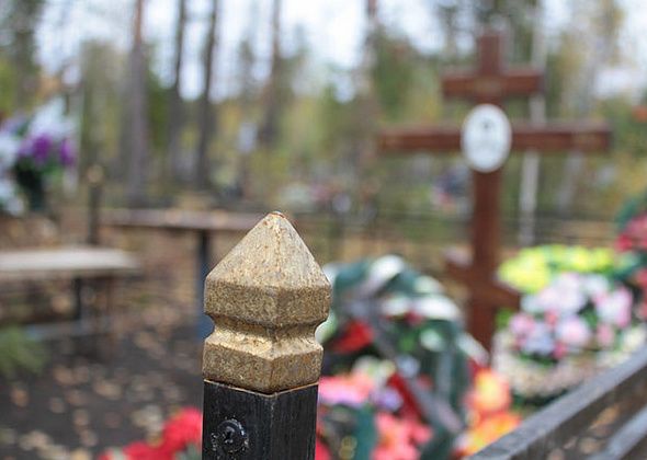 Голикова сообщила о росте смертности в каждом третьем регионе страны