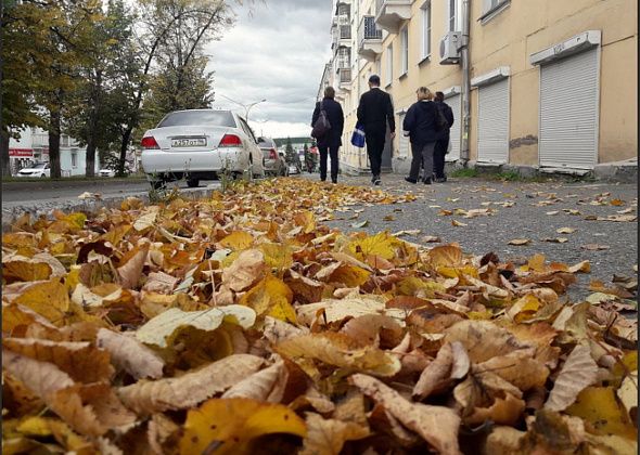 На север Урала идет похолодание. Рассказываем, как подготовиться к непогоде