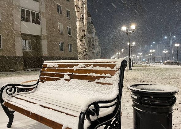 Ноябрь на севере области закончится оттепелью