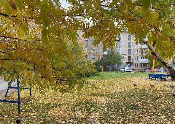 Синоптик: октябрь начнется с потепления