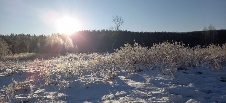Каким будет лето? Смотрим на приметы и погоду за окном