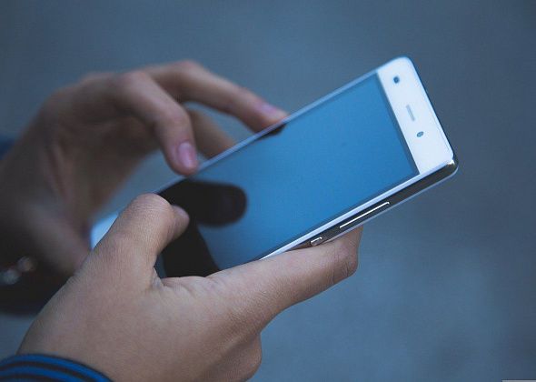 «Просто и удобно»: ФСС о приложении «Социальный навигатор»