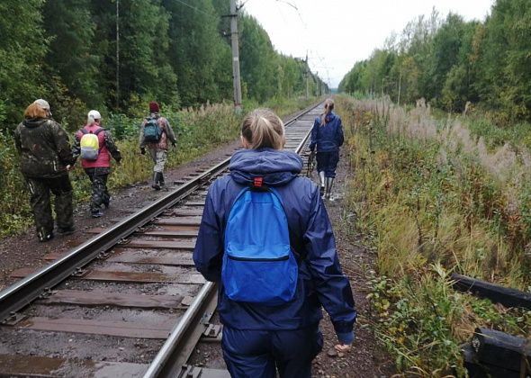 Пропавший в лесу мужчина до сих пор не найден. Определяется район поисков