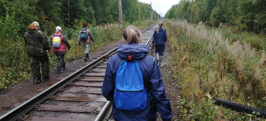 Пропавший в лесу мужчина до сих пор не найден. Определяется район поисков