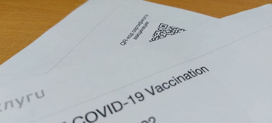Спикер Госдумы России Володин: законопроект о QR-кодах на транспорте снимут с рассмотрения