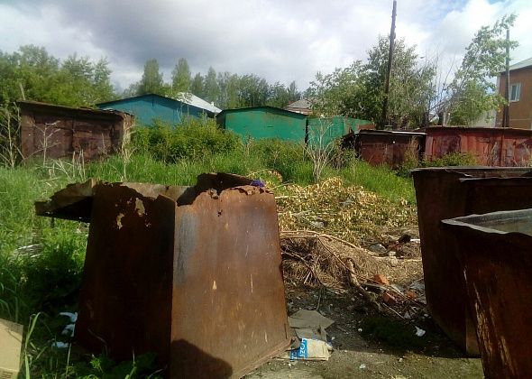 Жаловаться на мусорную тему теперь можно круглосуточно. В интернете или по телефону