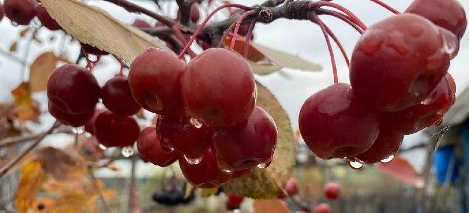 Синоптик предупреждает: север области ждет похолодание