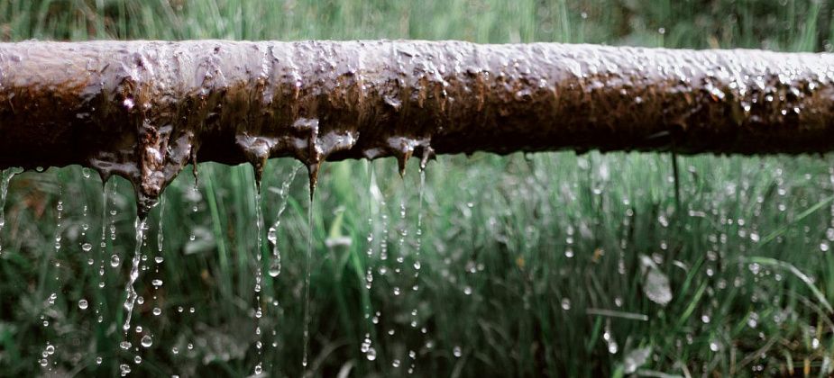 Синоптики прогнозируют снижение температуры и умеренные дожди