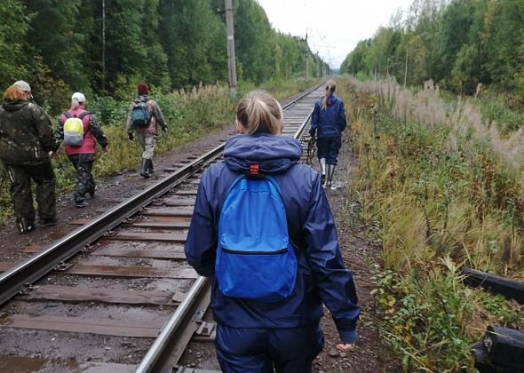 В Волчанске спасатели уже третьи сутки ищут пропавшего в лесу человека