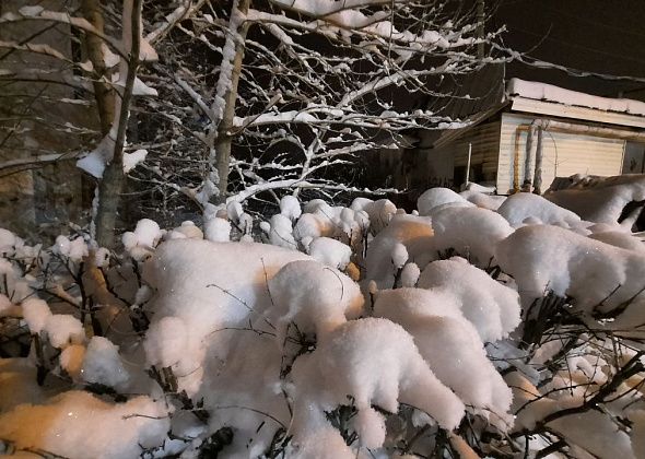 С 22 января морозы усилятся до минус 40 