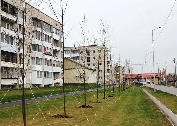 В Волчанске высадили более трехсот деревьев