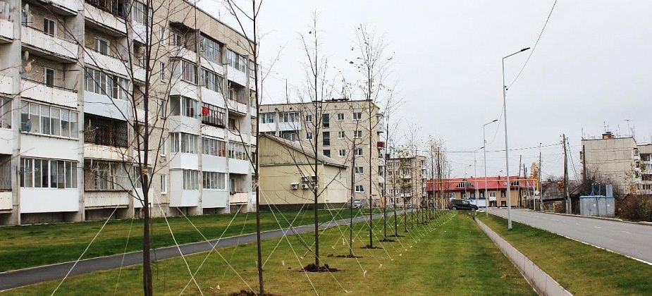 В Волчанске высадили более трехсот деревьев