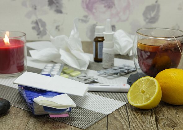 Два новых штамма гриппа придут в Россию