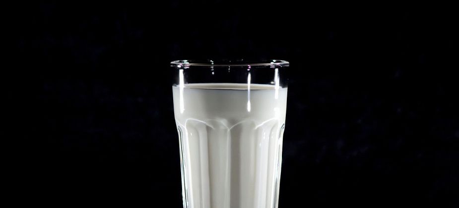 Зачем нам пробиотики и в каких продуктах их больше всего