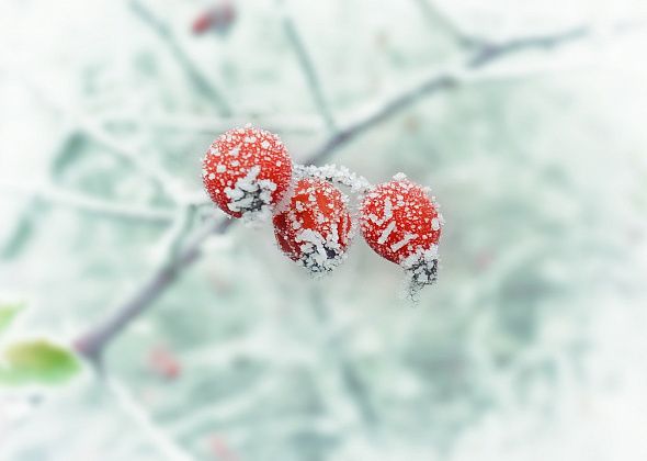 В ближайшие два дня температура воздуха опустится до минус 30, потом немного потеплеет