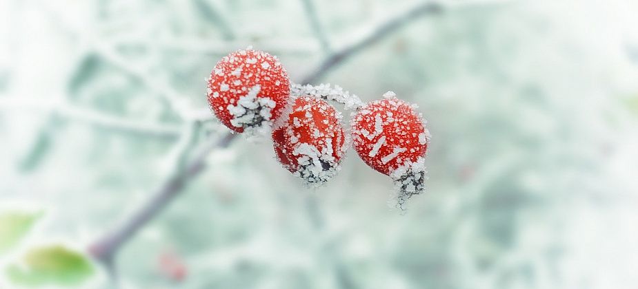 В ближайшие два дня температура воздуха опустится до минус 30, потом немного потеплеет